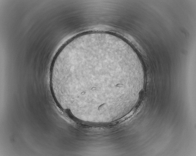 X0000110971232200907171704