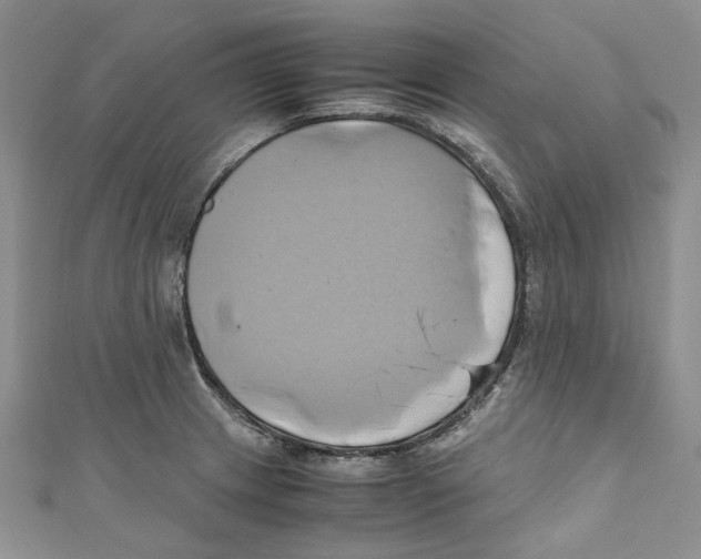 X0000110971233200907171704