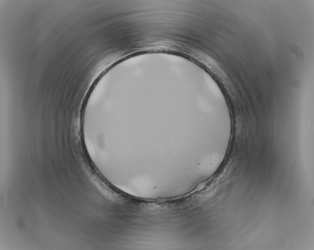 X0000110971234200907171704
