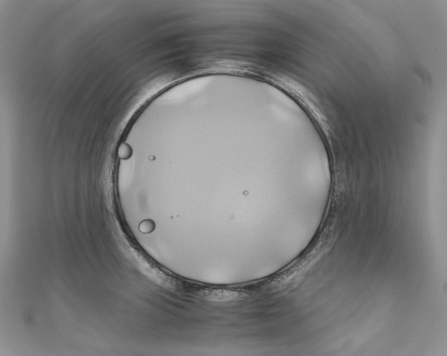 X0000110971235200907171704