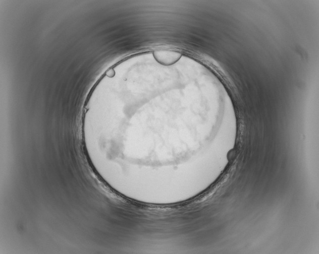 X0000110971236200907171704