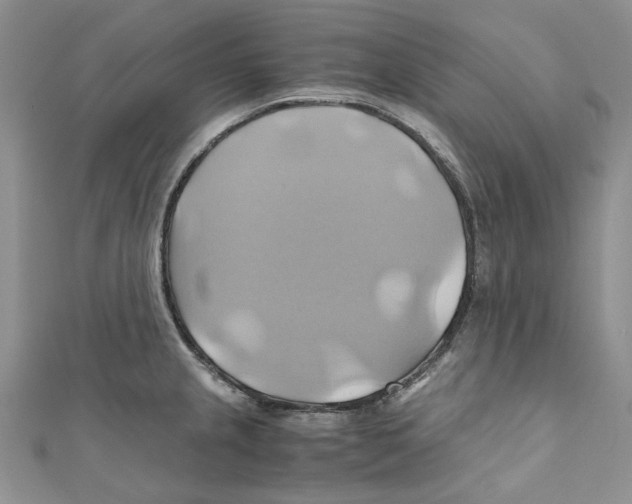 X0000110971237200907171704