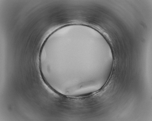 X0000110971239200907171704