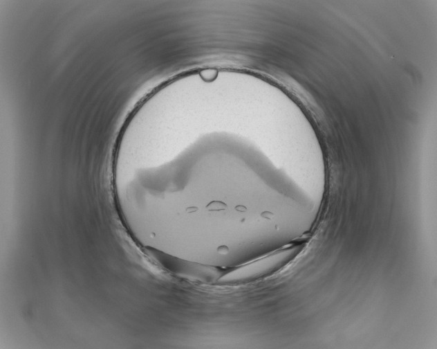 X0000110971240200907171704