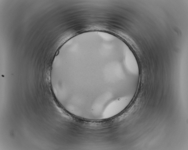 X0000110971241200907171704