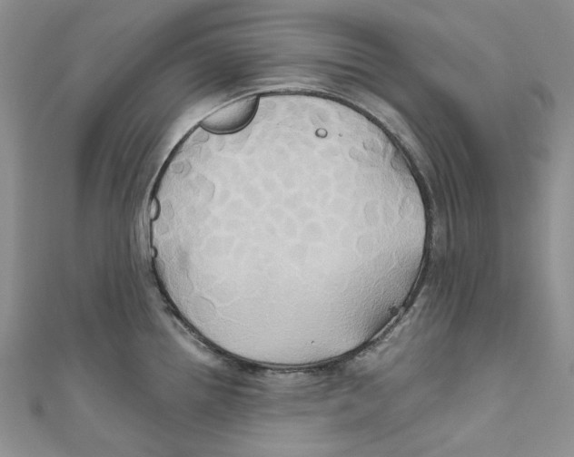 X0000110971242200907171704