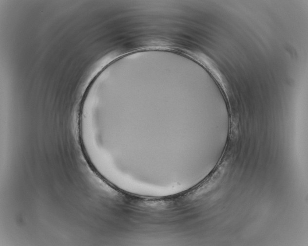 X0000110971243200907171704