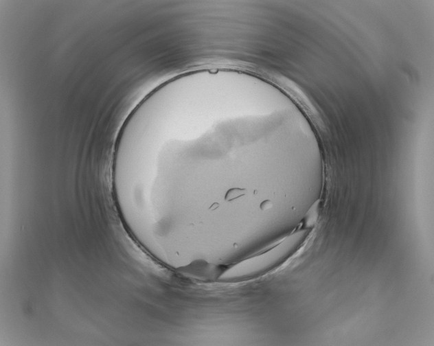 X0000110971244200907171704