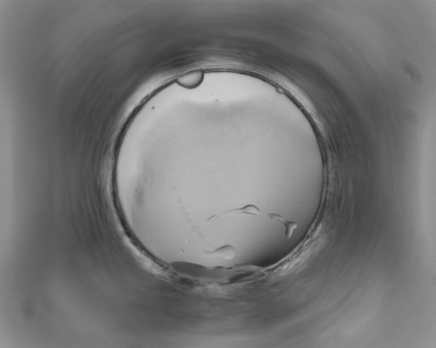 X0000110971245200907171704