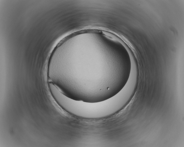 X0000110971246200907171704