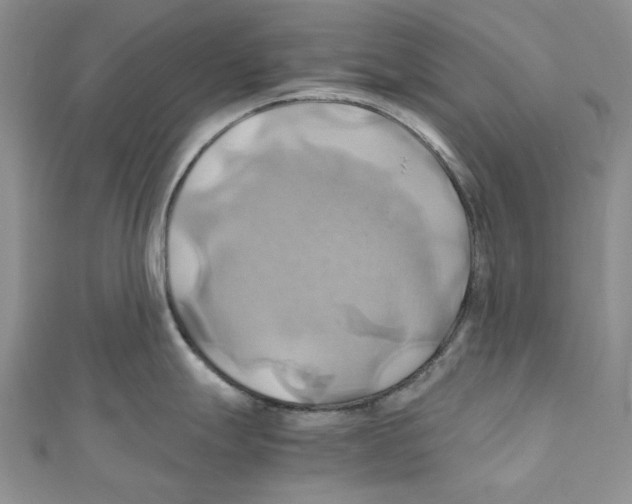 X0000110971247200907171704
