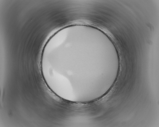 X0000110971248200907171704
