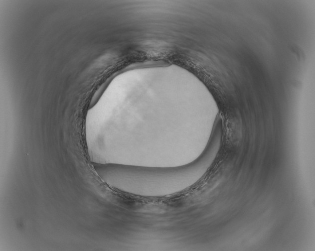 X0000110971249200907171703