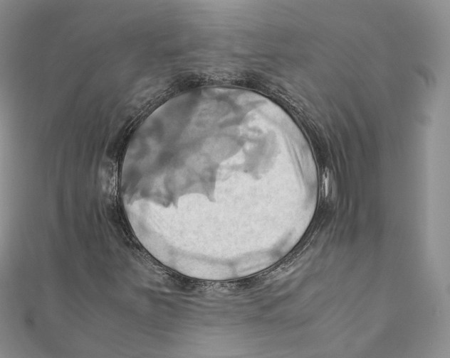 X0000110971251200907171703