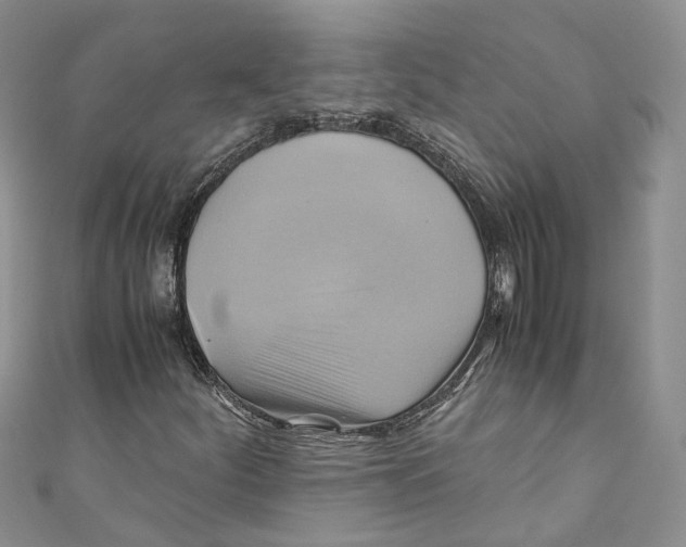 X0000110971252200907171703