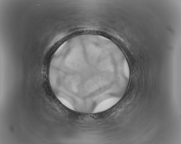 X0000110971255200907171703