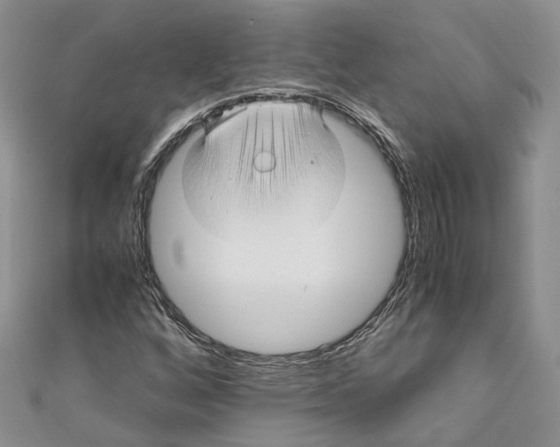 X0000110971256200907171703