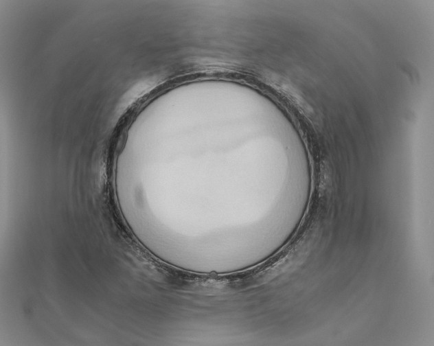 X0000110971261200907171703