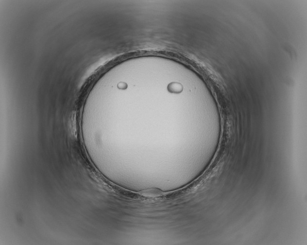 X0000110971262200907171703