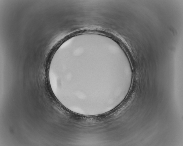 X0000110971263200907171703