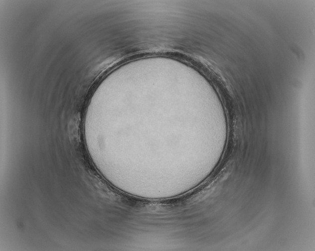 X0000110971265200907171703