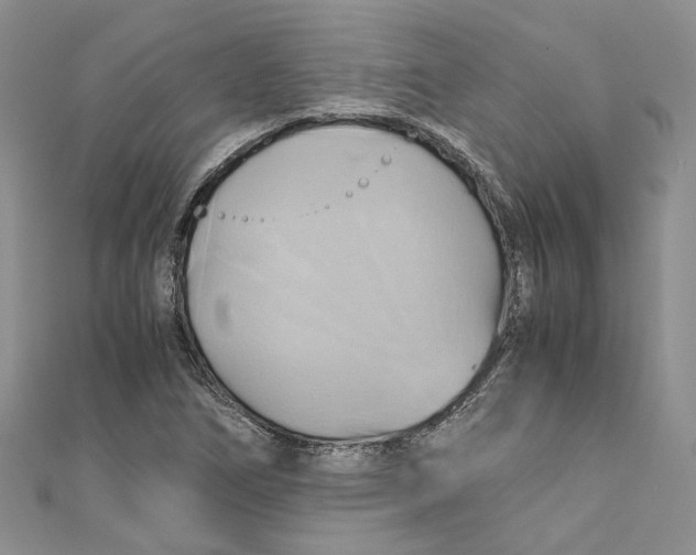 X0000110971266200907171703