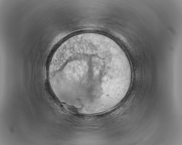 X0000110971267200907171703