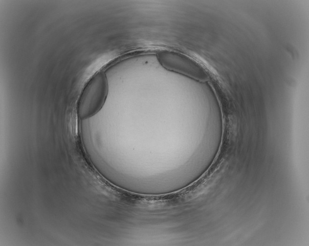 X0000110971269200907171703