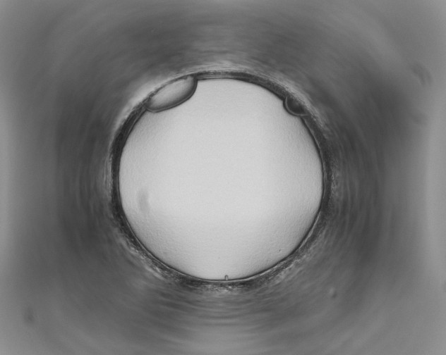 X0000110971270200907171703