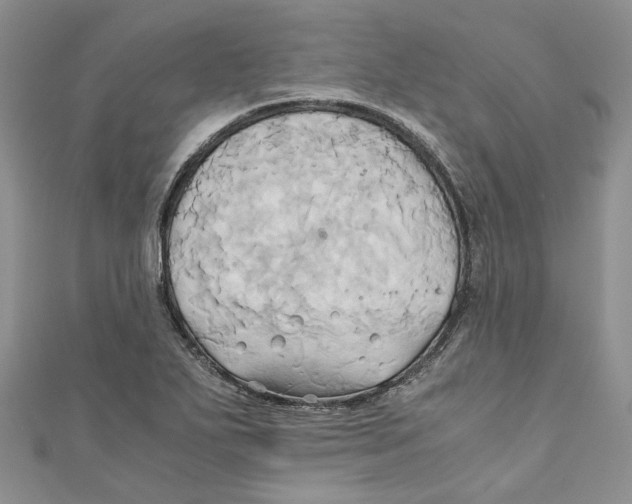X0000110971271200907171703