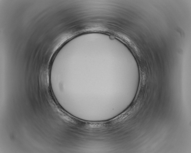 X0000110971274200907171703