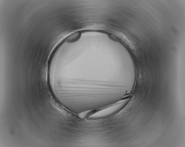 X0000110971276200907171703