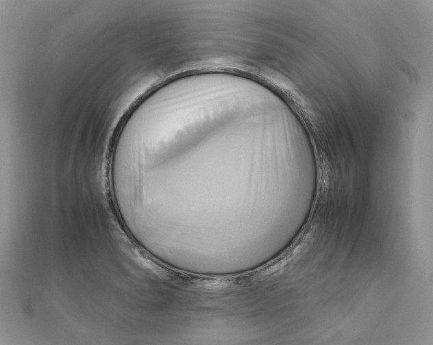 X0000110971278200907171703