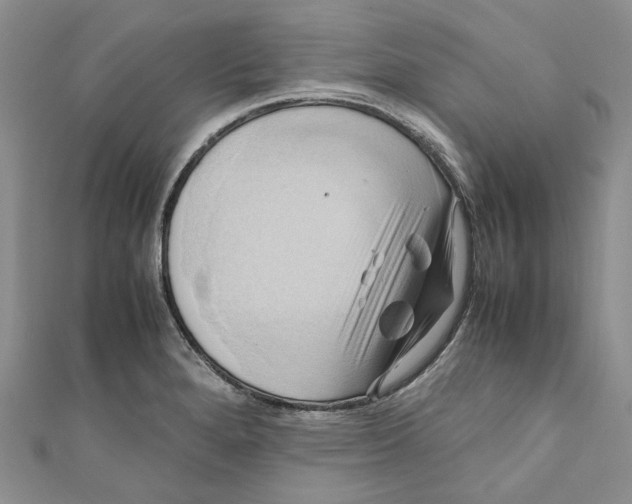 X0000110971280200907171703