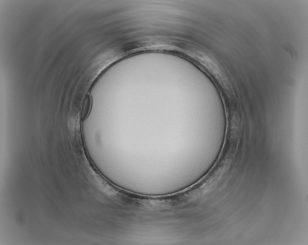 X0000110971281200907171703