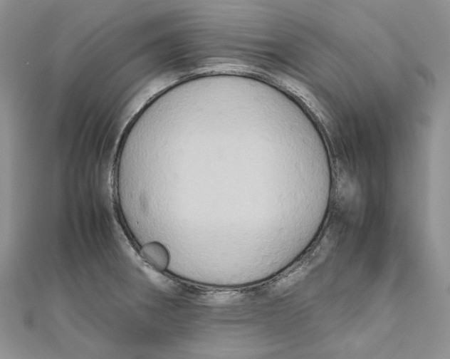 X0000110971282200907171703