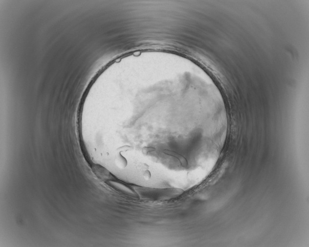 X0000110971283200907171703