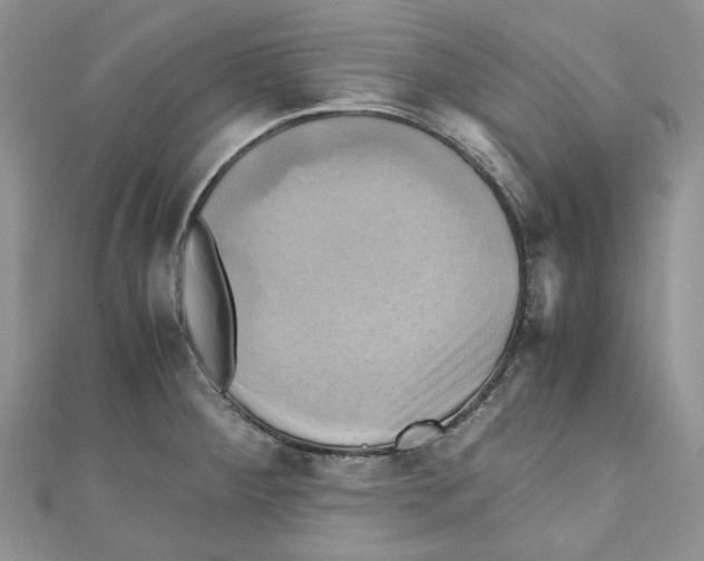 X0000110971284200907171703