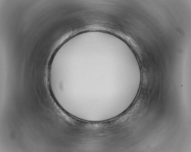 X0000110971286200907171703