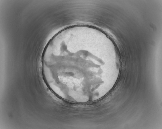 X0000110971287200907171703