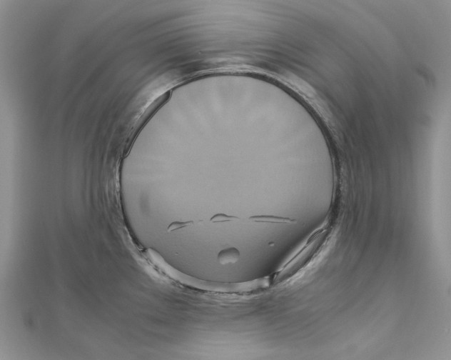 X0000110971289200907171703
