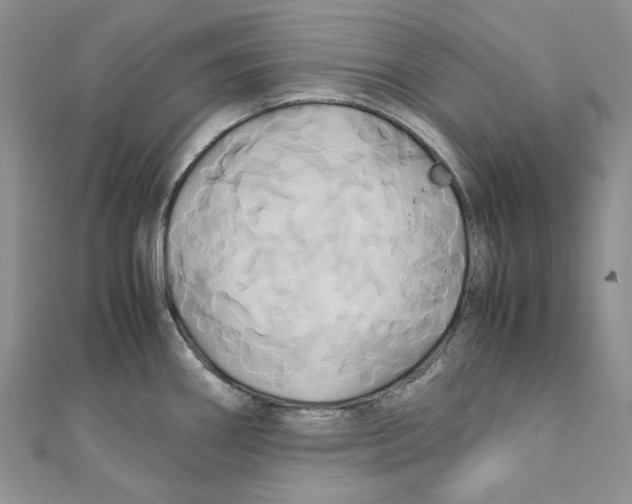 X0000110971290200907171703