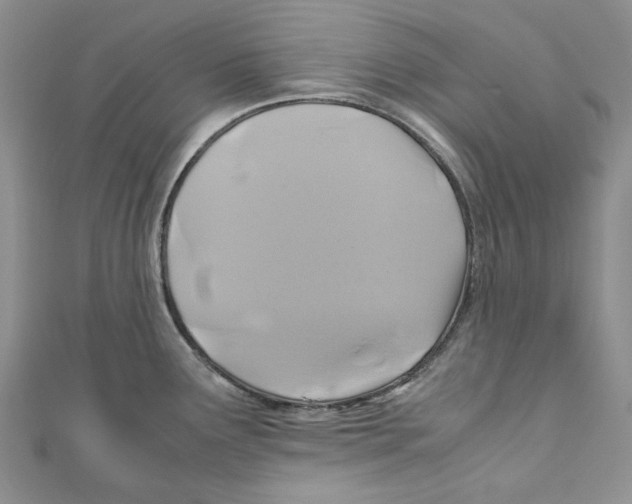 X0000110971291200907171703
