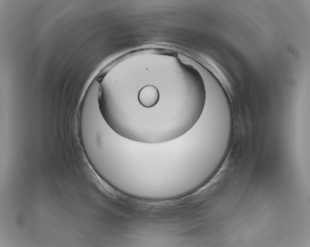 X0000110971292200907171703