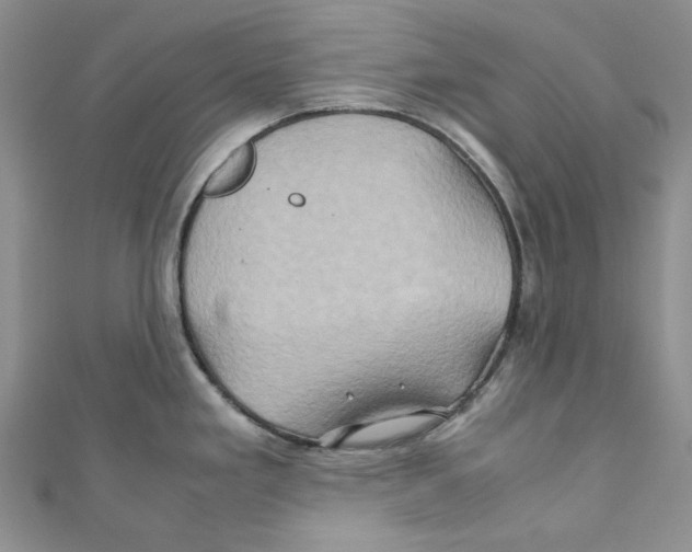 X0000110971293200907171703