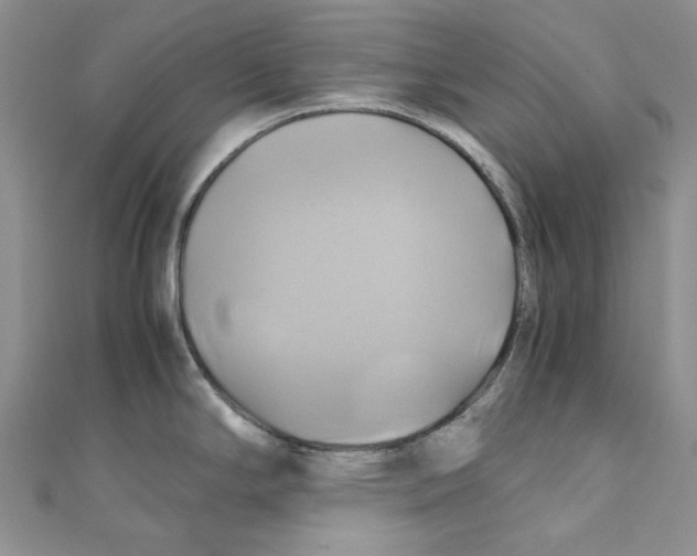 X0000110971294200907171702