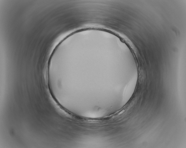 X0000110971295200907171702