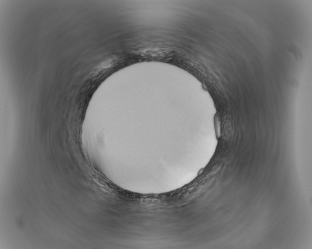 X0000110971297200907171702