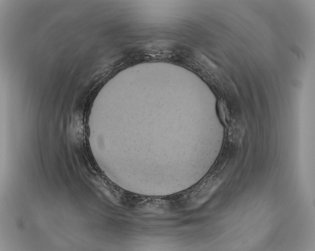 X0000110971298200907171702