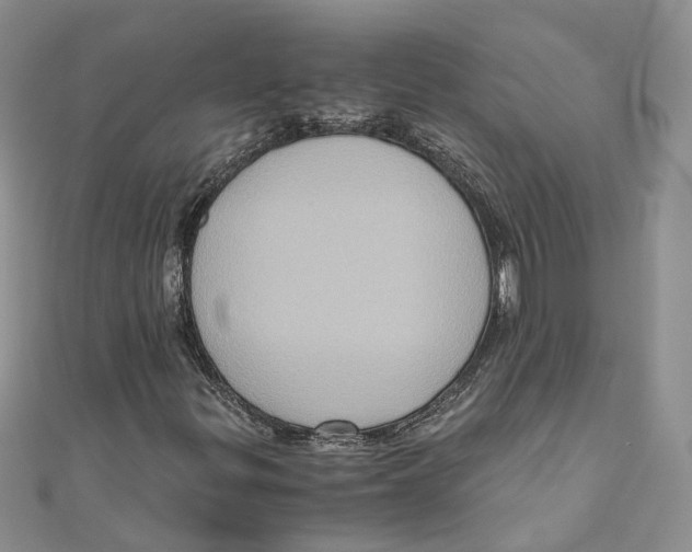 X0000110971299200907171702